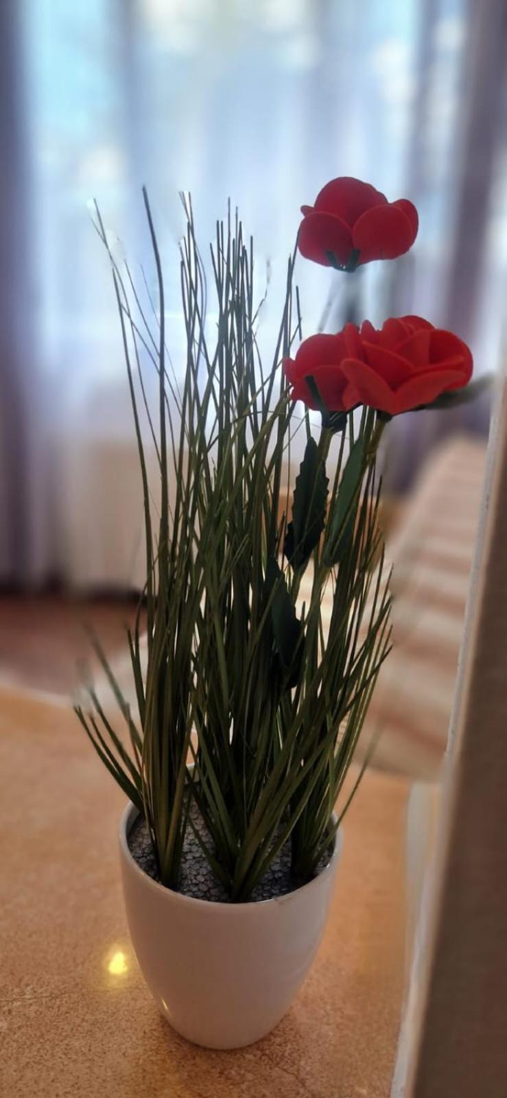 Stephanie Apartment-Centru Civic Braşov Eksteriør bilde