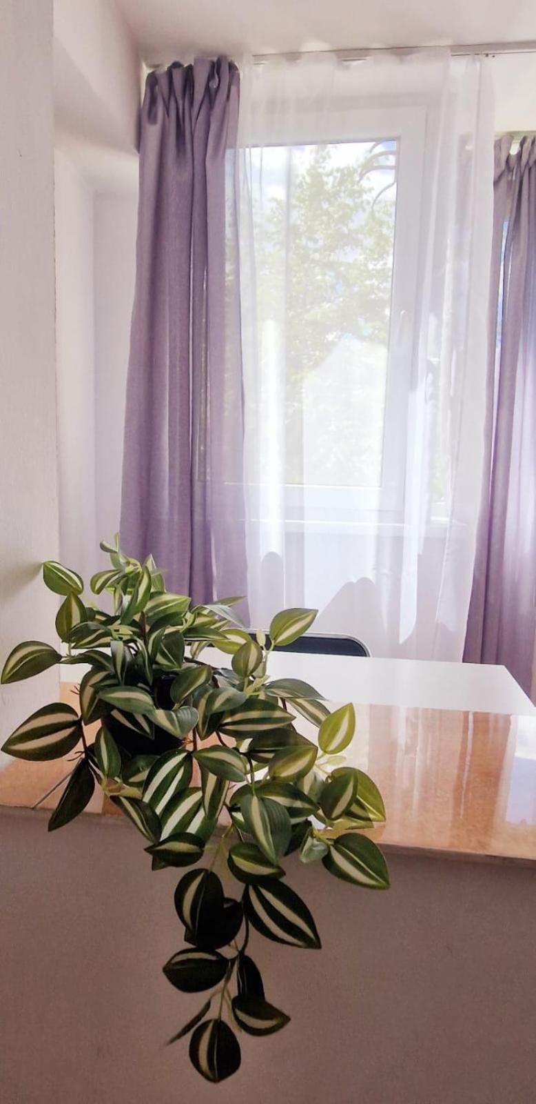 Stephanie Apartment-Centru Civic Braşov Eksteriør bilde