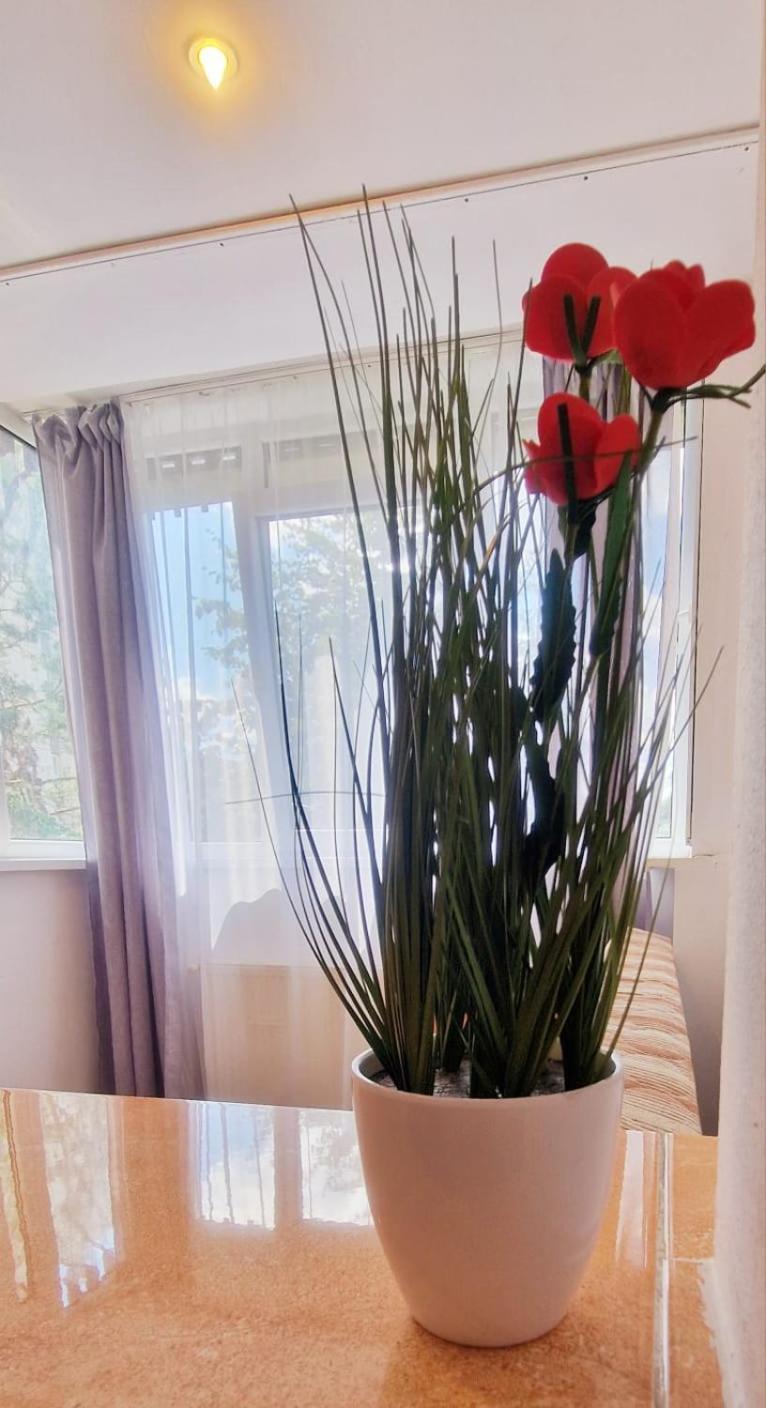 Stephanie Apartment-Centru Civic Braşov Eksteriør bilde