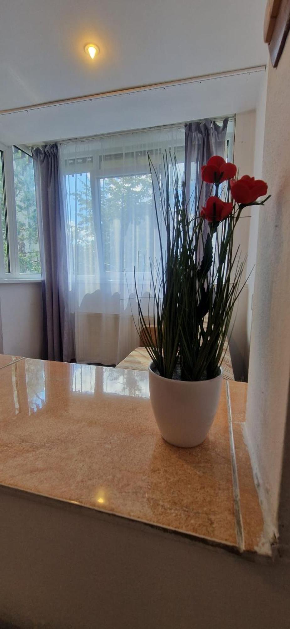 Stephanie Apartment-Centru Civic Braşov Eksteriør bilde