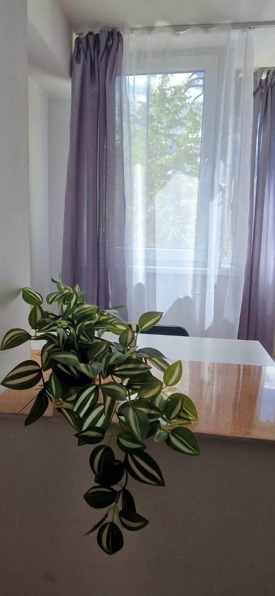 Stephanie Apartment-Centru Civic Braşov Eksteriør bilde