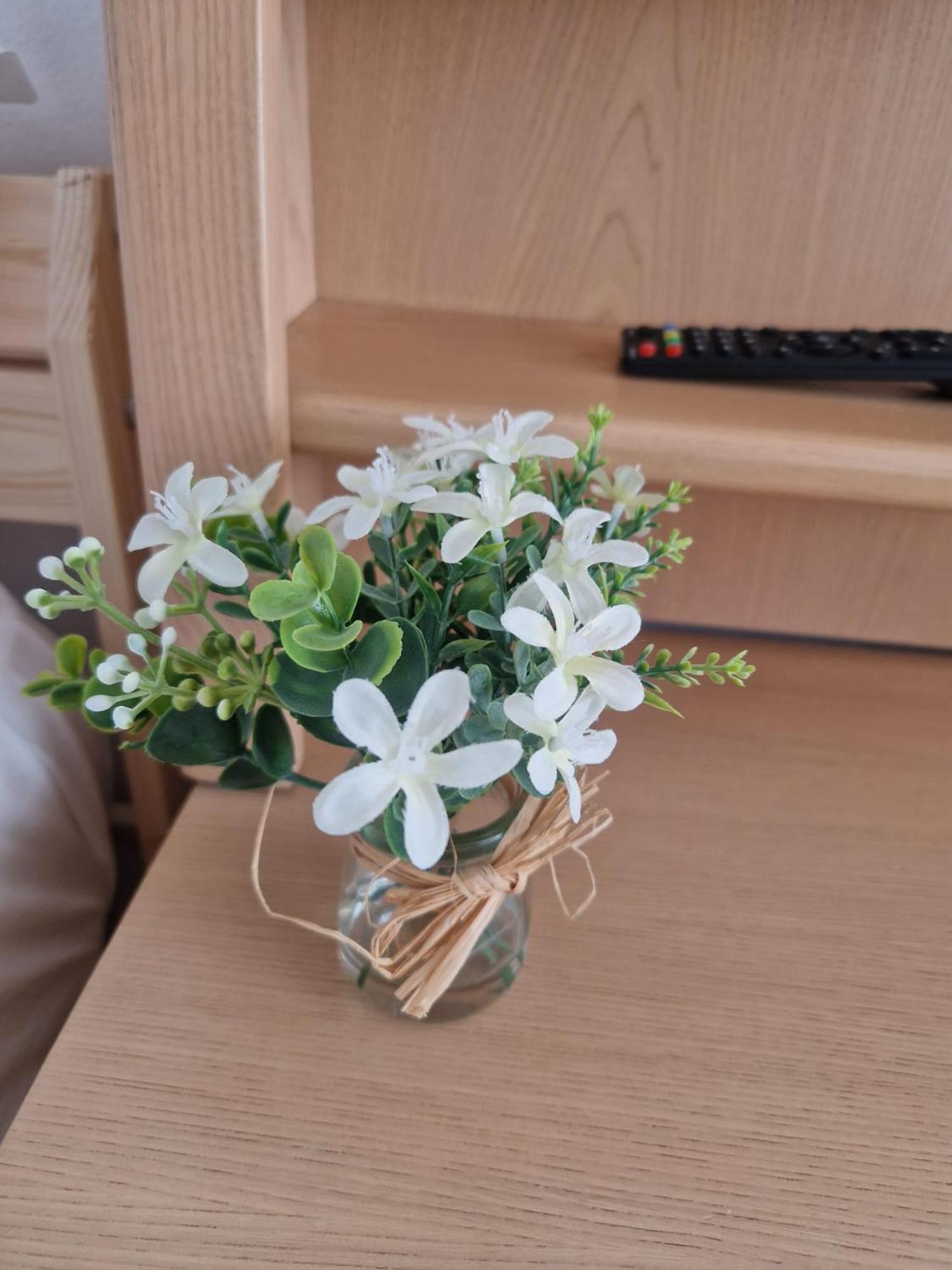 Stephanie Apartment-Centru Civic Braşov Eksteriør bilde